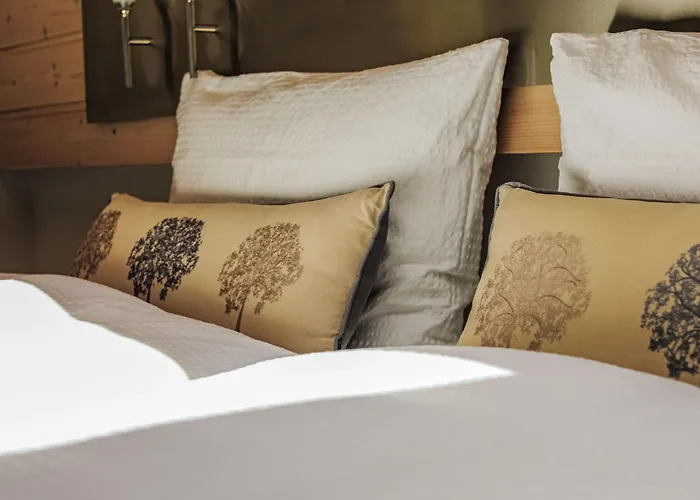 Chateau B-4 By Interhome 萨斯费